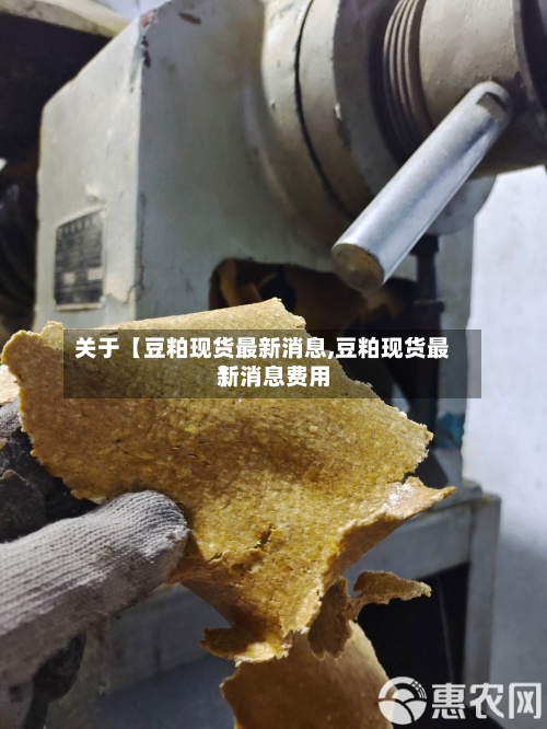 关于【豆粕现货最新消息,豆粕现货最新消息费用】