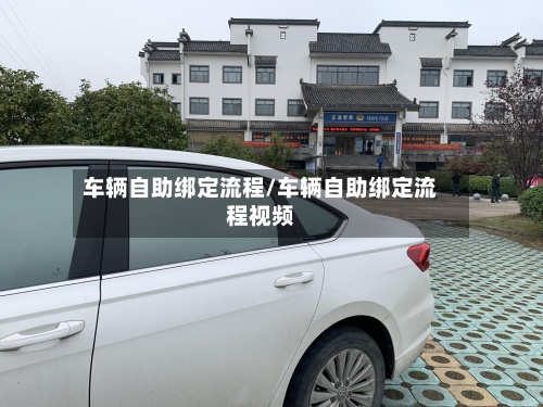 车辆自助绑定流程/车辆自助绑定流程视频-第3张图片