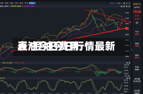 豆油今日费用表/豆油今日行情最新-第3张图片