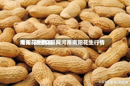 今天花生费用南阳/花生交易网河南南阳花生行情