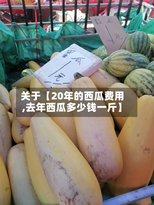 关于【20年的西瓜费用,去年西瓜多少钱一斤】-第3张图片