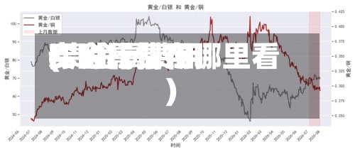贵金属费用(贵金属费用实时行情在哪里看)-第3张图片