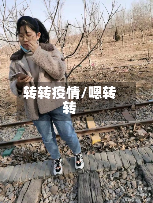 转转疫情/嗯转转-第2张图片