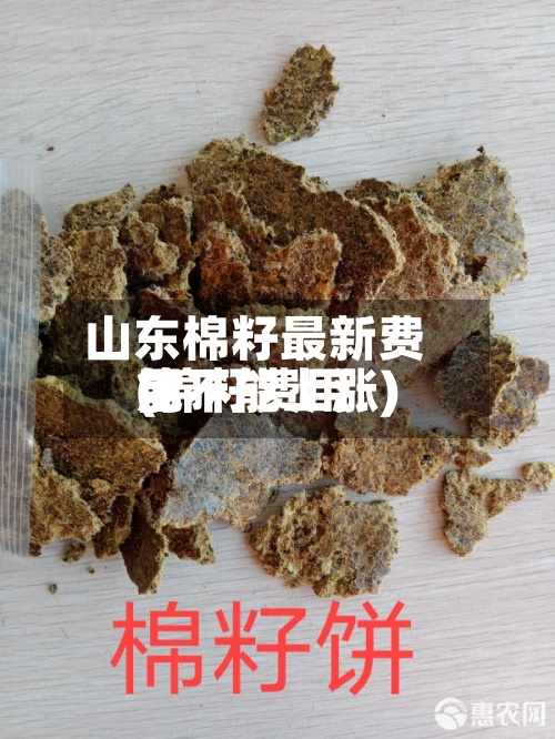山东棉籽最新费用
(棉籽费用
能不能上涨)-第2张图片