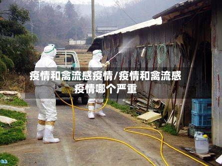 疫情和禽流感疫情/疫情和禽流感疫情哪个严重-第2张图片
