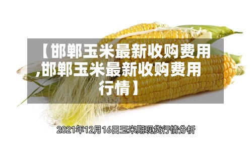 【邯郸玉米最新收购费用
,邯郸玉米最新收购费用
行情】-第2张图片