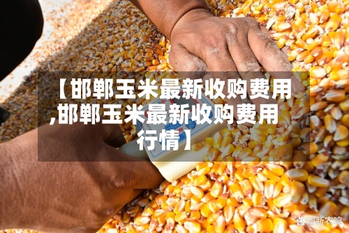 【邯郸玉米最新收购费用
,邯郸玉米最新收购费用
行情】-第3张图片