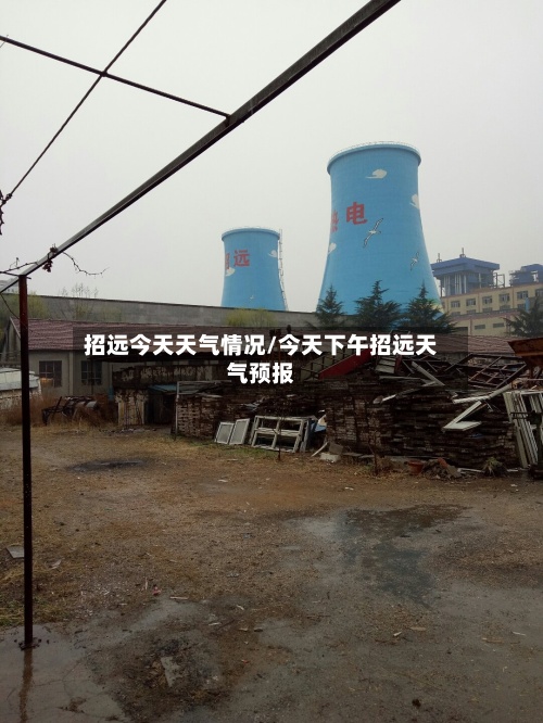 招远今天天气情况/今天下午招远天气预报