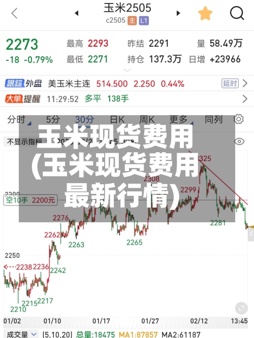玉米现货费用(玉米现货费用最新行情)