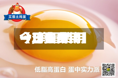 【鸡蛋费用今日费用一,鸡蛋费用今日费用一斤多少钱】