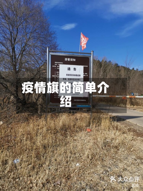 疫情旗的简单介绍