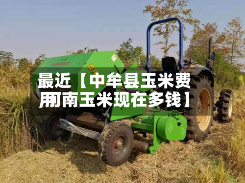 最近【中牟县玉米费用
,河南玉米现在多钱】-第2张图片