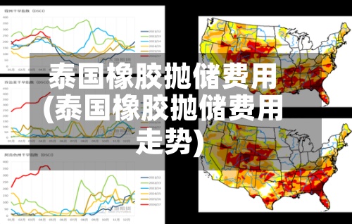 泰国橡胶抛储费用
(泰国橡胶抛储费用
走势)-第3张图片