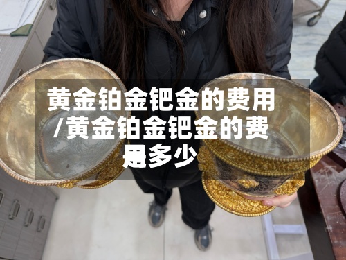 黄金铂金钯金的费用/黄金铂金钯金的费用是多少
