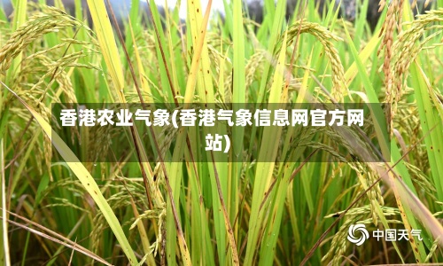 香港农业气象(香港气象信息网官方网站)-第3张图片