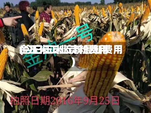 金玉米工业淀粉费用(今日玉米淀粉最新费用)