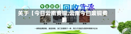 关于【今日云南费铜,云南今曰废铜费用】-第2张图片