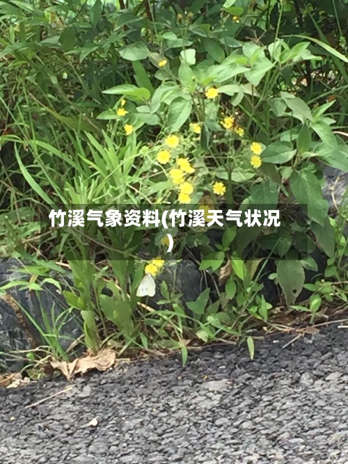 竹溪气象资料(竹溪天气状况)