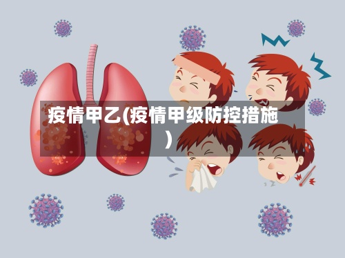 疫情甲乙(疫情甲级防控措施)