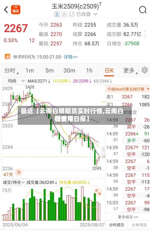 最近【云南白糖期货实时行情,云南白糖费用行情今日报】-第2张图片
