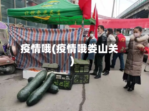 疫情哦(疫情哦娄山关)