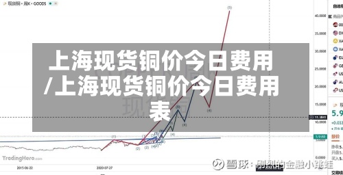 上海现货铜价今日费用
/上海现货铜价今日费用
表-第3张图片