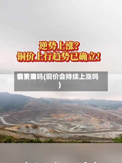 铜费用
会下调吗(铜价会持续上涨吗)-第3张图片
