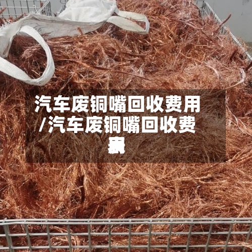 汽车废铜嘴回收费用/汽车废铜嘴回收费用表-第3张图片