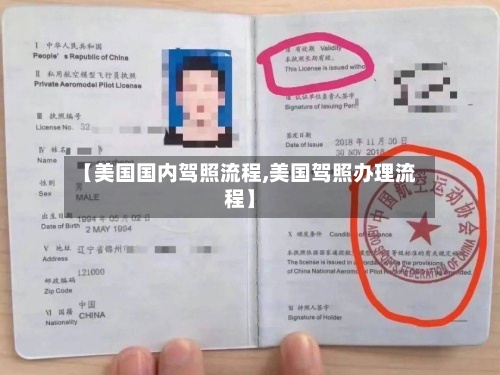 【美国国内驾照流程,美国驾照办理流程】-第2张图片