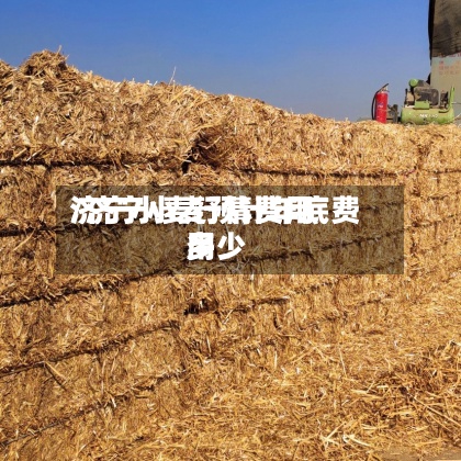 济宁小麦行情费用/济宁小麦预计年底费用多少
