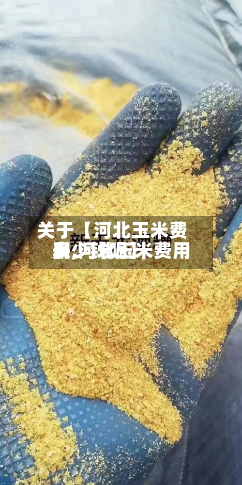 关于【河北玉米费用
表,河北玉米费用
多少钱呢】-第2张图片