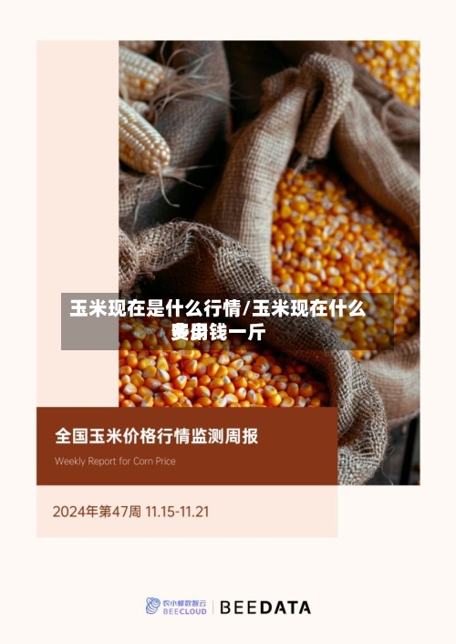 玉米现在是什么行情/玉米现在什么费用多少钱一斤