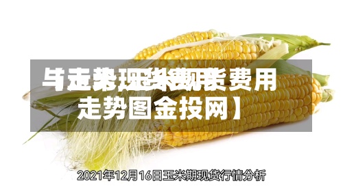 【玉米现货费用与走势,玉米现货费用走势图金投网】-第3张图片