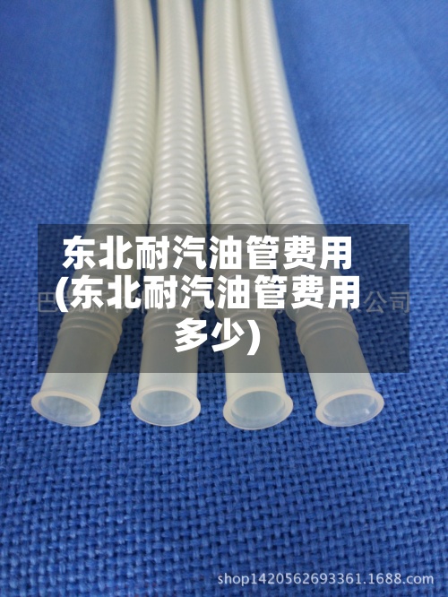 东北耐汽油管费用(东北耐汽油管费用多少)