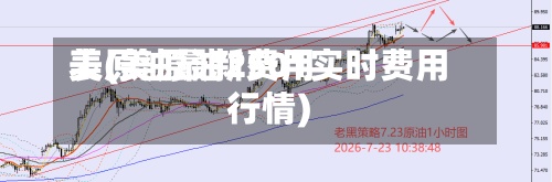 美原油最新费用表(美原油2501实时费用行情)-第2张图片