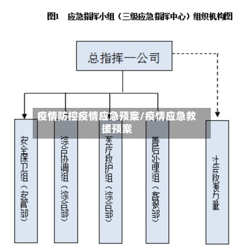 疫情防控疫情应急预案/疫情应急救援预案
