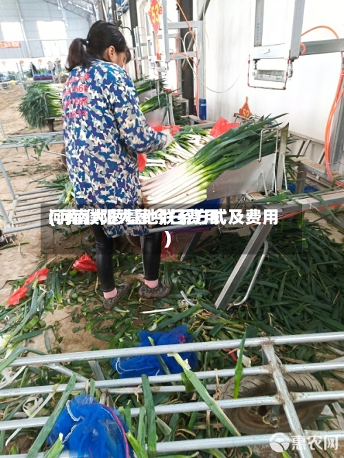 河南濮阳大葱今日费用(河南大葱基地联系方式及费用)