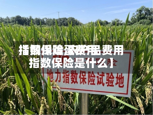 【铜川鸡蛋费用指数保险,农产品费用指数保险是什么】