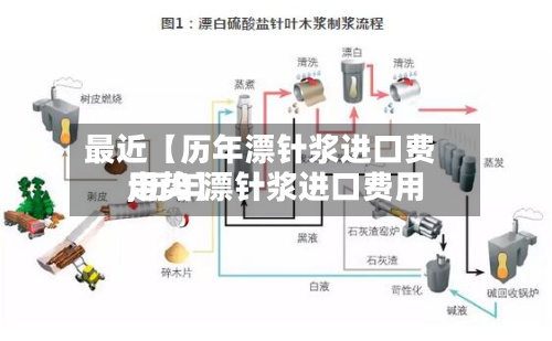 最近【历年漂针浆进口费用,历年漂针浆进口费用走势】-第2张图片