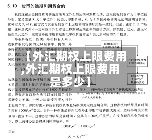 【外汇期权上限费用,外汇期权上限费用是多少】