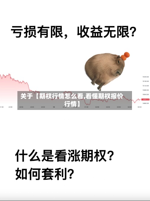 关于【期权行情怎么看,看懂期权报价行情】-第3张图片