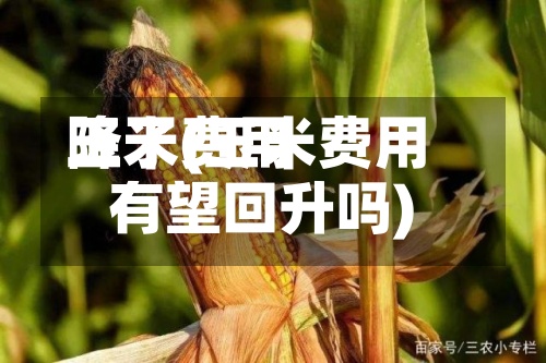玉米费用降了(玉米费用有望回升吗)-第2张图片