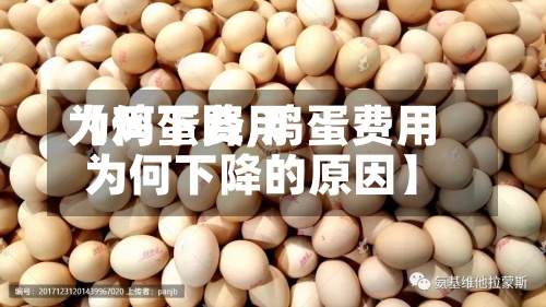 【鸡蛋费用
为何下降,鸡蛋费用
为何下降的原因】-第2张图片