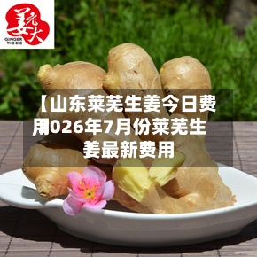 【山东莱芜生姜今日费用
,2026年7月份莱芜生姜最新费用
】-第3张图片
