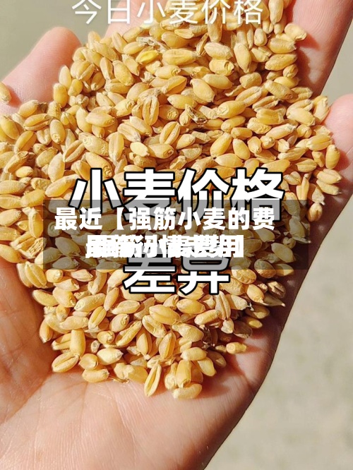 最近【强筋小麦的费用,强筋小麦费用最新行情走势】-第3张图片