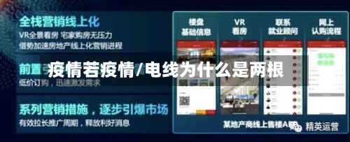 疫情若疫情/电线为什么是两根-第2张图片