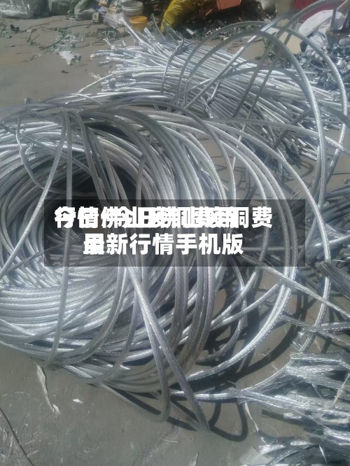 今曰佛山废铜费用行情/今日佛山废铜费用最新行情手机版-第2张图片