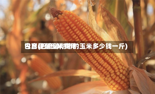 巴彦县潮玉米费用
今日(巴彦淖尔市的玉米多少钱一斤)-第3张图片