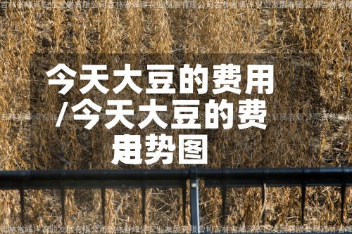 今天大豆的费用/今天大豆的费用走势图-第3张图片