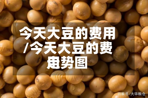 今天大豆的费用/今天大豆的费用走势图
